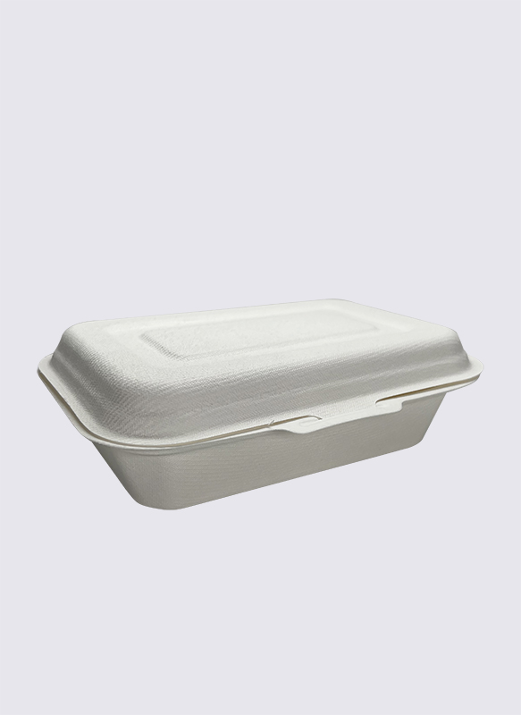 450 ml Bagasse-Zuckerrohr-Clamshell-Lebensmittelbehälter